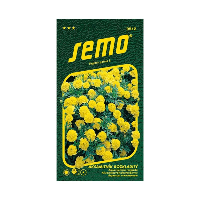 Aksamietnica Lemon drop  SEMO