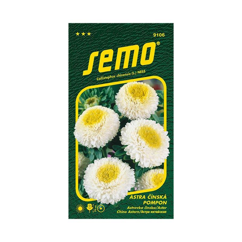 Astra Pompon White and yellow  SEMO