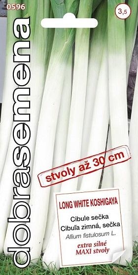 Cibuľa Long White Koshigaya DOBRA SEMENA - zimná