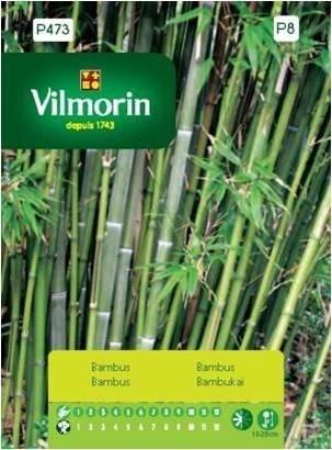 Bambus VILMORIN