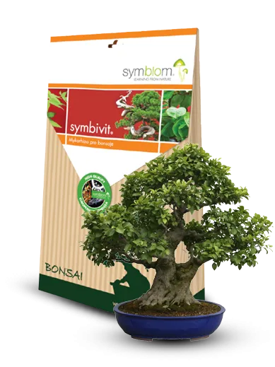 Mykorhízne huby Symbivit - Bonsai - 150 g