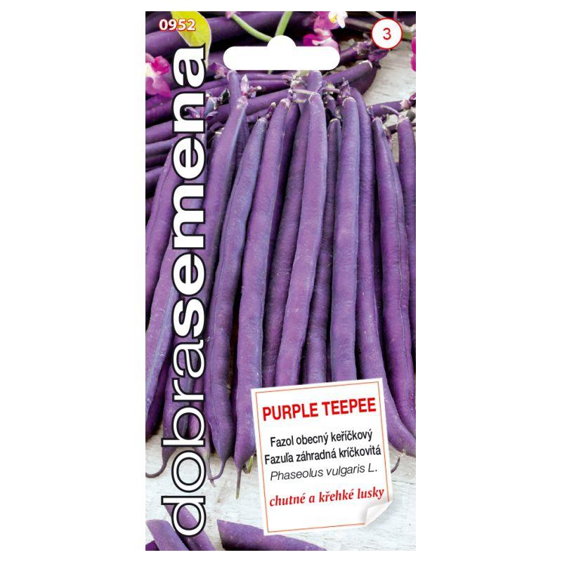 Fazuľa kríčková Purple Teepee DOBRASEMENA