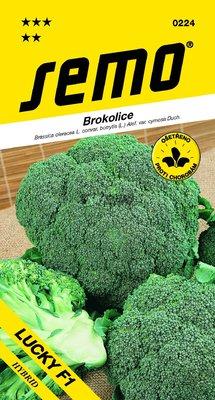 Brokolica Lucky F1  SEMO